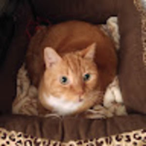 Meet your Posher, Dawna